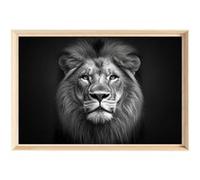 Tableau mural encadré CEANOTHE portrait lion majestueux 40x60 cm Noir & blanc