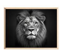 Tableau mural encadré CEANOTHE Portrait lion majestueux 60x80 cm Noir & blanc Noir & blanc