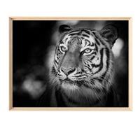 Tableau mural encadré CEANOTHE Portrait tigre sauvage 60x80 cm Noir et blanc Noir & blanc