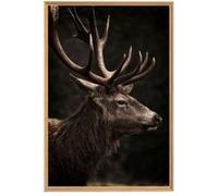 Tableau mural mat encadré cerf imperieux 65x97 cm CEANOTHE Décoration Murale Art Décoratif Muraux Peinture Imprimée en HD Salon Chambre Bureau Fabriqué en France Noir G