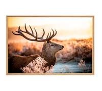 Tableau mural mat encadré chevreuil 65x97 cm CEANOTHE Décoration Murale Art Décoratif Muraux Peinture Imprimée en HD Salon Chambre Bureau Fabriqué en France Orange G