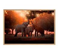 Tableau mural mat encadré famille elephant 65x97 cm CEANOTHE Décoration Murale Art Décoratif Muraux Peinture Imprimée en HD Salon Chambre Bureau Fabriqué en France Orange G