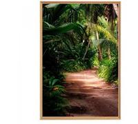 Tableau mural mat encadré jungle 65x97 cm CEANOTHE Décoration Murale Art Décoratif Muraux Peinture Imprimée en HD Salon Chambre Bureau Fabriqué en France Vert G