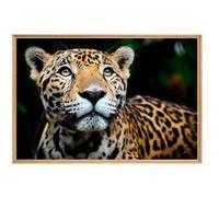 Tableau mural mat encadré leopard 65x97 cm CEANOTHE Décoration Murale Art Décoratif Muraux Peinture Imprimée en HD Salon Chambre Bureau Fabriqué en France Orange G