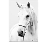 Tableau Panorama Cheval 21x30 cm - Imprimée sur Toile - Tableau Animaux