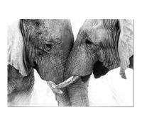 Tableau Panorama Couple Éléphants 50x35 cm - Imprimée sur Toile - Tableau Animaux