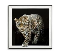 Toile décorative avec cadre Jaguar 82 x 4 x 82 cm Modèle 2