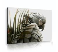 Tableau Perroquet Feuilles Tropicales Oiseau Exotique 30x45cm | Animaux sauvages Plumes grises Tirages sur toile pour salon Bureau Bureau Décoration murale nature Cadre intérieur