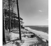 Tableau sur toile bassin d'Arcachon noir et blanc 45x45 cm CEANOTHE Décoration Murale Art Décoratif Muraux Peinture Imprimée en HD Salon Chambre Bureau Fabriqué en France Noir & Blanc G