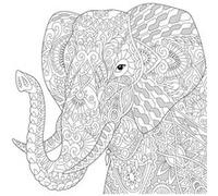 Tableau sur toile éléphant à colorier 30x30 cm CEANOTHE Décoration Murale Art Décoratif Muraux Peinture Imprimée en HD Salon Chambre Bureau Fabriqué en France Blanc G
