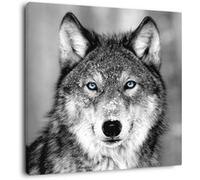 Tableau sur toile loup aux yeux bleus 65x65 cm CEANOTHE Décoration Murale Art Décoratif Muraux Peinture Imprimée en HD Salon Chambre Bureau Fabriqué en France Noir & Blanc G