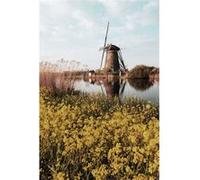 Tableau sur toile petit moulin 65x97 cm CEANOTHE Décoration Murale Art Décoratif Muraux Peinture Imprimée en HD Salon Chambre Bureau Fabriqué en France Jaune G