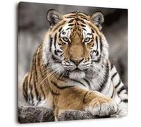 Tableau sur toile tigre de Sibérie 65x65 cm CEANOTHE Décoration Murale Art Décoratif Muraux Peinture Imprimée en HD Salon Chambre Bureau Fabriqué en France Multicolore G