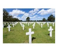 Tableau sur toile tombes cimetière US 65x97 cm CEANOTHE Décoration Murale Art Décoratif Muraux Peinture Imprimée en HD Salon Chambre Bureau Fabriqué en France Vert G