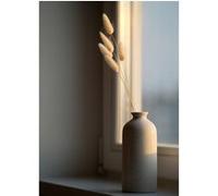 Tableau sur toile vase près de la fenêtre 30x45 cm CEANOTHE Décoration Murale Art Décoratif Muraux Peinture Imprimée en HD Salon Chambre Bureau Fabriqué en France Beige G