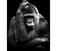Tableau sur verre gorille pensant 30x30 cm CEANOTHE Décoration Murale Art Décoratif Muraux Peinture Imprimée en HD Salon Chambre Bureau Fabriqué en France Noir & Blanc G