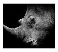 Tableau sur verre synthétique CEANOTHE portrait rhinocéros de profil 90x90 cm Noir & blanc Noir & blanc