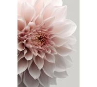 Tableau sur verre synthétique dahlia décoratif 65x97 cm, Tableau mural moderne pour décoration intérieure