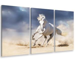 Tableau triptyque Animal Le Cheval Blanc - 90x60 cm - Made in France - 90x60