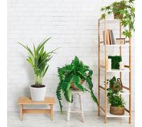 Tabouret en bambou avec poignée - Tabouret pour enfants - Naturel - h x l x p : 205 x 40 x 22 cm