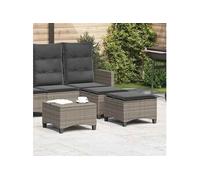 vidaXL Tabouret de jardin avec coussin 2 pcs. Gris 55x55x36 cm Poly rotin