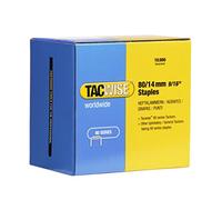 Tacwise Agrafes galvanisées 0385 pour tapisserie – Type 80 / 14 mm – Lot de 10 000
