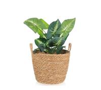 Tagtight Panier à plantes en jonc de mer, pot de fleurs bohème, pot de fleurs tissé, vase rond, décoration de jardin, panier décoratif en osier, panier tressé, déchets, 25 x 25 x 20 cm