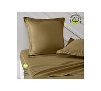 TODAY Taie d'oreiller en Coton Bio Organic - Bronze - 63 X 63 Cm