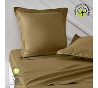 Taie D'oreiller - Today - 63 X 63 Cm - Coton Bio - Certifié Gots - Oeko-Tex