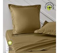 Taie d'oreiller - TODAY - 63 x 63 cm - Coton bio - Certifié GOTS - oeko-Tex