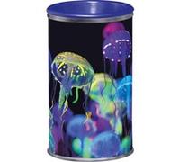 Maped - Taille-crayons canette - 1 trou - Avec réservoir - Décor Deepsea Paradise - Emballage recyclable
