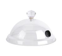 TAIZhiChen Cloche à Fumer, Couvercle fumoir, Accessoire de Cuisine pour Cocktails et Boissons, infuseur de fumée, Diamètre 31.5 Cm
