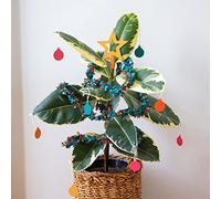 Talking Tables Lot de décorations de Noël pour plantes en pot pour plantes succulentes réelles ou artificielles | Cadeaux pour les amoureux du jardin, décoration d'arbre et boules écologiques