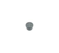 Tampon de visite PVC D125 - - 3025976