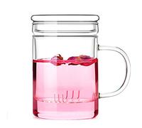 TAMUME 380ml Tasse à Thé en Verre avec Filtre en Verre et Couvercle Plat (Droit 380ml)