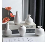 Tanvecle Lot de 5 petits vases blancs en céramique pour herbe de la pampa, fleurs, vases décoratifs pour la maison, décoration moderne, décoration rustique, gilets pour salon, table à manger, étagères