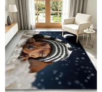 Tapis À Poils Courts Lavable 80 x 150 cm Teckel Lune Étoiles Tapis Salon, Photographie Animaux Compagnie Doux Antidérapant Moquette pour Entrée Intérieur Chambre Cuisine Chambre d'enfant