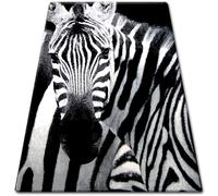 Tapis BCF FLASH 33302/190 160x225 cm