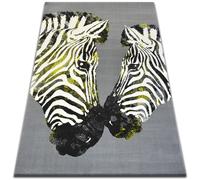 Tapis BCF FLASH 33309/170 160x225 cm