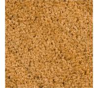 Tapis Brosse Coco 50x100 cm