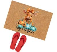 Tapis de bienvenue décoratif coloré antidérapant pour Halloween | Paillasson de bienvenue pour maison, entrée, cuisine, chambre à coucher, entrée extérieure