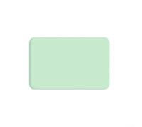 Tapis de boue à séchage rapide pour sols humides Vert 40 x 30 cm | Pour une absorption rapide de l'humidité, garde les sols secs, empêche les taches d'eau, restaure la sécheresse