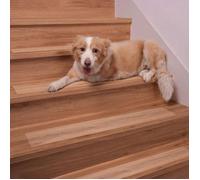 Tapis de Marche Antidérapant Transparent pour Escalier en Bois - Lot de 15 Bandes, 10 x 60 cm