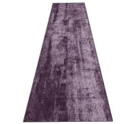 Tapis de passage moderne pour couloir, cuisine, chambre à coucher | Tapis Extra Long violet 1m/1.5m/2m/3m/3.5m/4m/4.5m/5m/6m, paillasson de salon de blanchisserie(80×200cm)