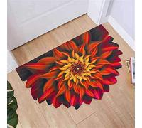 Tapis de Porte d'entrée Extérieur et Intérieur, Paillassons pour entrée Demi Lune Tapis de décoration pour Paillasson, Couloir, Entrée, Cuisine, Chambre - Antidérapant, Imperméable, 58x88cm