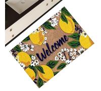 Tapis de porte d'entrée - Tapis de porte d'entrée intérieure, décoration