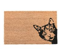 Tapis de porte en fibre de coco pour chat