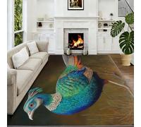 Tapis De Salon 140 x 200 cm Faisan De Prairie Tapis De Couloir, Photographie Animalière Paillasson Antidérapant Moquette Lavable Intérieur pour Bureau Traditionnel Et Classique