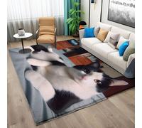 Tapis de Salon Animal Chat Noir 60x120 cm Grand Tapis pour Salon Chambre Tapis Lavable Antidérapant Enfants Tapis De Sol Tapis à Poils Courts Tapis de Jeu