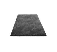 Tapis de séjour SucceBuy Polyester 243,8x152,4 cm Poils longs Gris Foncé